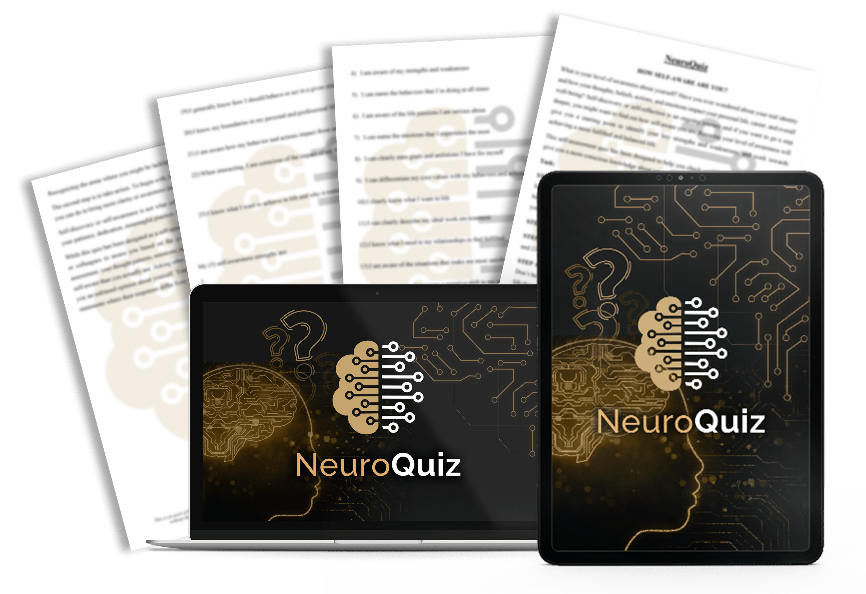  1 2 Pay Option Unlocked